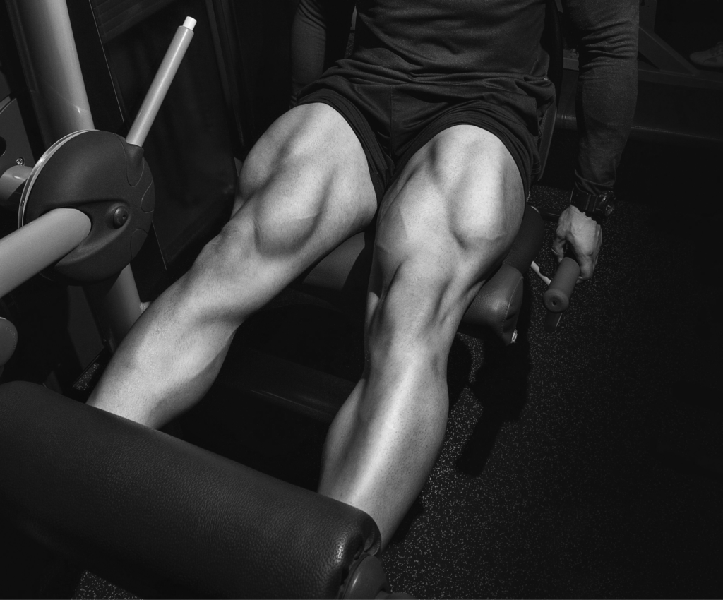 leg press square 2